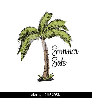 Handzeichnung der Palme im Sommer Verkauf Stock Vektor