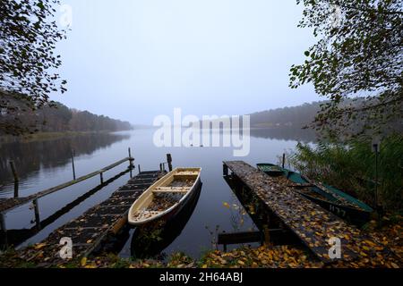 11. November 2021, Brandenburg, Fürstenberg/Havel/OT Himmelpfort: Ein Ruderboot liegt im hellen Nebel am blattbedeckten Ufer des Haussee. Der See, der sich rund einen halben Quadratkilometer in der Nähe der Ruinen des Zisterzienserklosters erstreckt, ist Teil des Naturparks Uckermark-Seen und hat natürlichen Ursprung. Foto: Soeren Sache/dpa Stockfoto