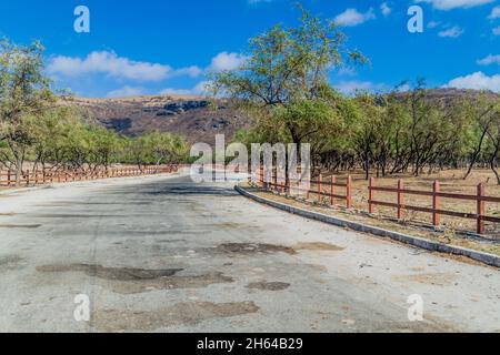 Straße in Wadi Dharbat in der Nähe von Salalah, Oman Stockfoto