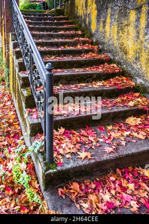 Eine alte Fußgängertreppe mit gemusterten durchbrochenen Geländern und moosbedeckten Wänden ist mit heruntergefallenen Herbstblättern von roten Ahornbäumen übersät, die den Cha schaffen Stockfoto