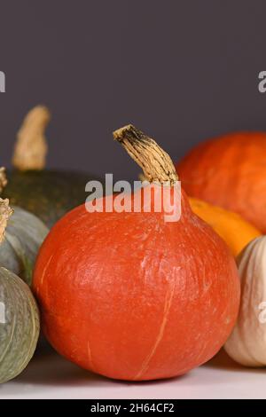 Rot, Landwirtschaft, Herbst, Kopierraum, cucurbita, Dekoration, dekorativ, anders, Vielfalt, Herbst, Lebensmittel, frisch, Kürbis, grün, grün kuri, Gruppe, hal Stockfoto