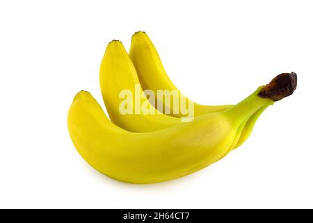 Bananenbündel auf weißem Hintergrund isoliert. Frisches und gesundes Obst. Stockfoto