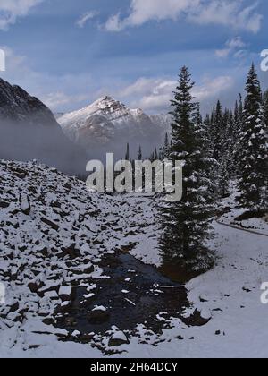 Schöner Blick auf den Edith Cavell Meadows Trail im Jasper National Park, Alberta, Kanada nach dem ersten Schnee im Herbst mit Nadelbäumen. Stockfoto