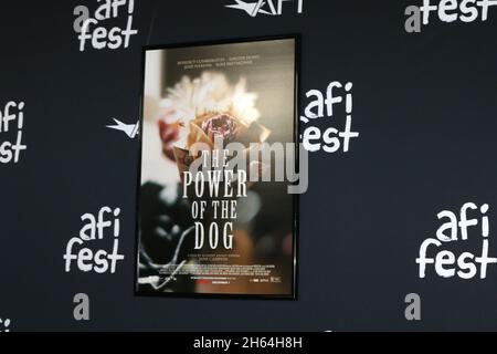 LOS ANGELES - NOV 11: Atmosphäre beim AFI Fest - The Power of the Dog LA Premiere im TCL Chinese Theatre IMAX am 11. November 2021 in Los Angeles, CA Stockfoto