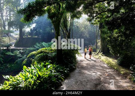 Mutter und Sohn schauten auf einer Karte, während sie auf einem Pfad durch exotische Wälder in Terra Nostra Garden, Furnas, Sao Miguel Island, Azoren, Portugal gingen Stockfoto