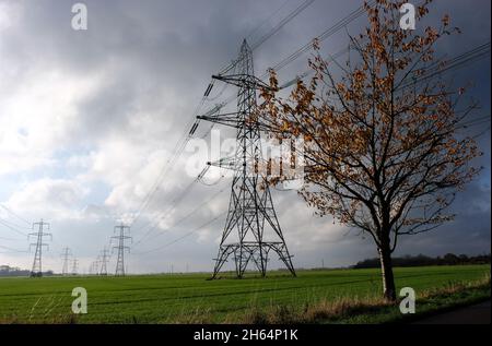 Stromleitungen und Strommasten, in der Nähe von Garthorpe Lincolnshire. Stockfoto