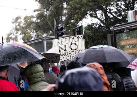 Melbourne, Australien. 13. November 2021. Ein Freiheitszeichen wird während eines Protestes gegen die Regierung von Andrew vor den Schritten des State Parliament in Melbourne gesehen. Tausende von Demonstranten mussten den Regen ertragen, um gegen die Impfstoffmandate sowie gegen das drakonische Pandemie-Gesetz der Regierung Andrews zu kämpfen. Kredit: Dave Hewison/Speed Media/Alamy Live Nachrichten Stockfoto