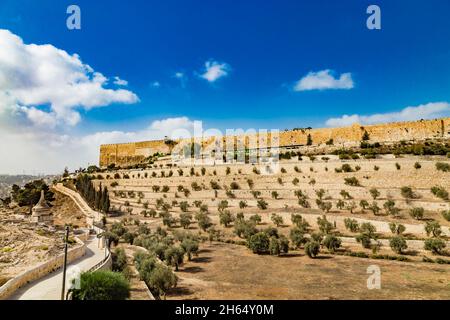 Terrassen des Kidron-Tals und die Mauer der Altstadt von Jerusalem Stockfoto