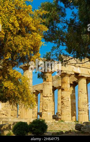 Italien, Italien, Sizilien, Sicilia, Trapani Bezirk, Selinunte, Tempel E Stockfoto