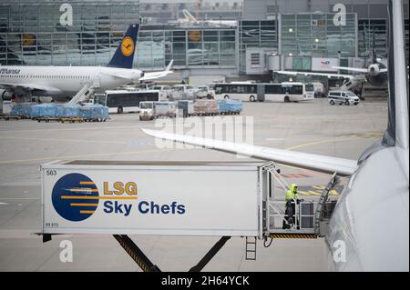 08. November 2021, Hessen, Frankfurt/Main: Ein Arbeiter bewegt einen Trolley aus einem Container mit der Bezeichnung „LSG Sky Chefs“ auf ein Lufthansa-Flugzeug. Foto: Sebastian Gollnow/dpa Stockfoto