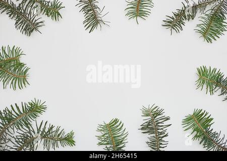 Komposition zu Weihnachten oder Neujahr. Rahmen aus grünen Tannenzweigen auf weißem Hintergrund. Flach liegend, Draufsicht, Kopierbereich. Stockfoto