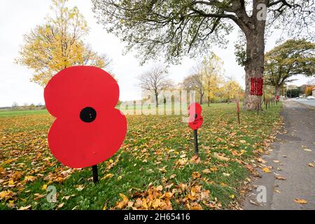 Market Warsop, Großbritannien. November 2021. Hausgemachte gestrickte rote Mohnblumen und lebensgroße Holz schwarz lackiert britischen 1.. Soldaten aus dem Weltkrieg schmücken die Hauptprozessionsroute durch die Stadt Market Warsop in Nottinghamshire zum Kriegsdenkmal der Stadt, das morgen, Sonntag, 14. November, am Gedenktag, stattfinden wird. Kredit: Alan Keith Beastall/Alamy Live Nachrichten Stockfoto