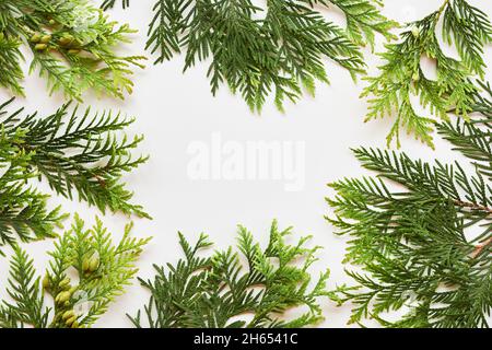 Komposition zu Weihnachten oder Neujahr. Rahmen aus grünen Nadelholzzweigen auf weißem Hintergrund. Flach liegend, Draufsicht, Kopierbereich. Stockfoto