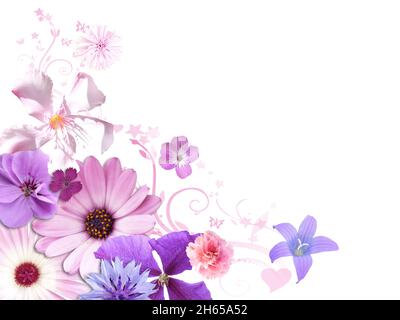 Design mit verschiedenen bunten Blumen auf weißem Hintergrund Stockfoto