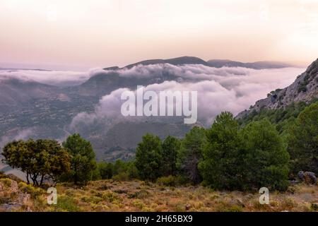Nadelwald gegen valles mit rosa Wolken und Bergkette bei Sonnenaufgang, Sierra Nevada Berge, Granada, Spanien Stockfoto