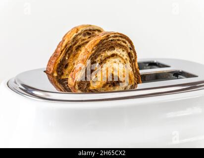 Marmorne Roggen-Toast in einem aufklappten Toaster, Nahaufnahme. Stockfoto