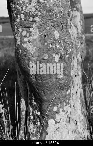 Duddo Five Stones Steinkreis der frühen Bronzezeit in Northumberland, Großbritannien Stockfoto