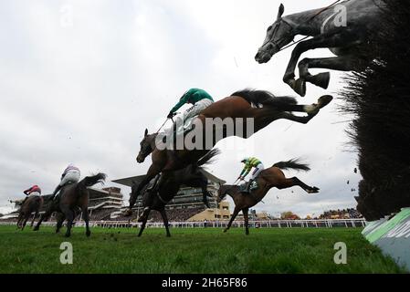 Läufer und Reiter springen einen Zaun, während sie am zweiten Tag des November-Treffens auf der Pferderennbahn Cheltenham an der Handicap Chase des Paddy Power Gold Cup teilnehmen. Bilddatum: Samstag, 13. November 2021. Stockfoto