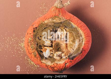 Halb schlechter schimmeliger Kürbis, der mit Funkeln auf braunem Hintergrund bestreut wurde Stockfoto