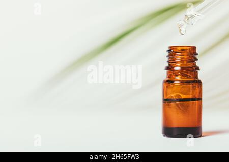 Natürliches ätherisches Öl tropft von der Pipette in die Flasche. Aromatherapie Heilmittel neben grünen Blatt auf weißem Hintergrund mit Kopierraum Stockfoto