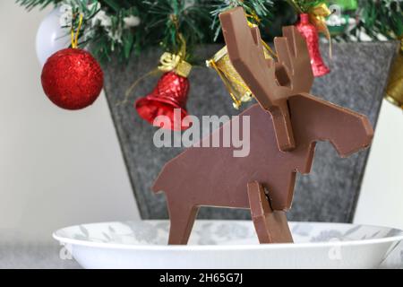 Weihnachtliches Bild, Schokoladen-Rentiere auf einem Teller nach rechts, vor einem kleinen Weihnachtsbaum Stockfoto