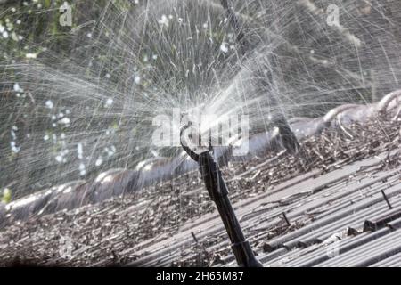 Nahaufnahme der Sprinkler, die auf einem braunen Dach arbeiten Stockfoto