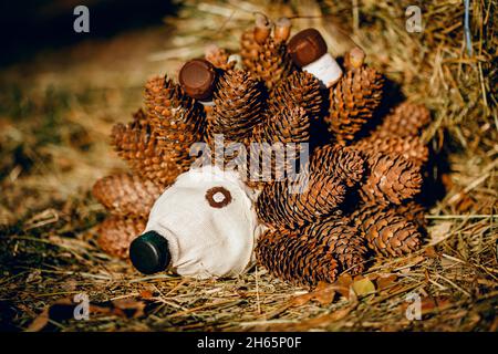 Recycling: Ein Igel und ein Pilz aus Plastikflaschen in einem Garten. Igel aus Zapfen mit eigenen Händen. Stockfoto