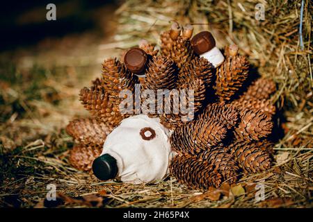 Recycling: Ein Igel und ein Pilz aus Plastikflaschen in einem Garten. Igel aus Zapfen mit eigenen Händen. Stockfoto