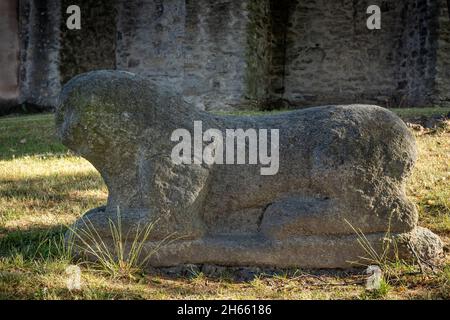 Sobotka, Polen - 6. Juli 2021: römische Löwenfigur aus dem 12. Jahrhundert, vor der Kirche St. Anna. Stockfoto