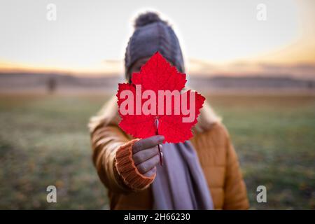 Frau hält rotes Blatt vor ihrem Gesicht. Herbst nebligen Morgen in der Natur. Frau in warmer Kleidung bei kaltem Wetter im Freien Stockfoto