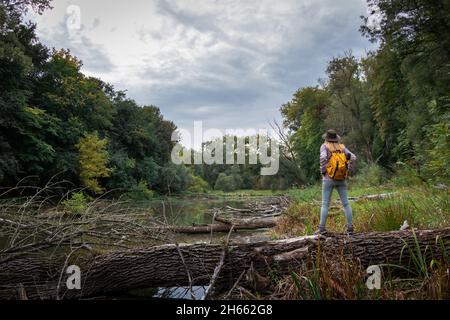 Wanderweibchen in der Wildnis. Tourist mit Hut und Rucksack auf Baumstamm in der Wildnis in der Nähe des Sumpfes stehen. Reisende genießen die Atmosphäre während des Tre Stockfoto