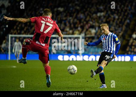 Sheffield, Großbritannien. November 2021. Barry Bannan #10 von Sheffield Wednesday Chips den Ball in Sheffield, Großbritannien am 11/13/2021. (Foto von Simon Whitehead/News Images/Sipa USA) Quelle: SIPA USA/Alamy Live News Stockfoto