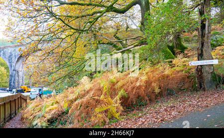 Der Eingang zum Pfad des Ceunant Mawr Waterfall, Llanberis, Gwynedd, Nordwales. Aufnahme im November 2021. Stockfoto