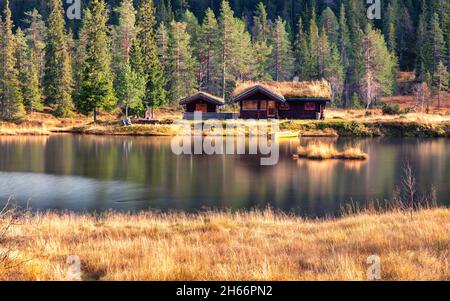 Herbstwunderland Landschaft mit traditionellen norwegischen Holz Berghütte mit Gras auf dem Dach in Wäldern am Fluss. Geringe Schärfentiefe. Stockfoto