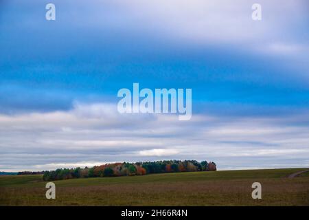 Schönes gemischtes herbstliches Laub mit grünen, roten, bernsteinfarbenen, gelben und goldenen Farbtönen auf einem englischen Waldwald unter tiefblauem bewölktem Himmel Stockfoto