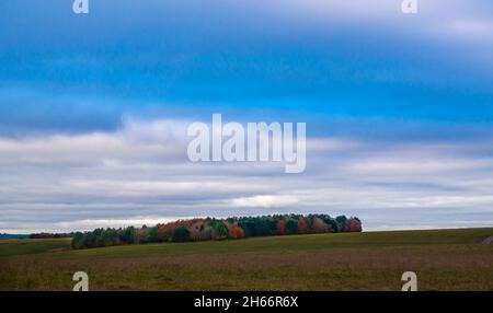 Schönes gemischtes herbstliches Laub mit grünen, roten, bernsteinfarbenen, gelben und goldenen Farbtönen auf einem englischen Waldwald unter tiefblauem bewölktem Himmel Stockfoto