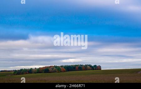 Schönes gemischtes herbstliches Laub mit grünen, roten, bernsteinfarbenen, gelben und goldenen Farbtönen auf einem englischen Waldwald unter tiefblauem bewölktem Himmel Stockfoto