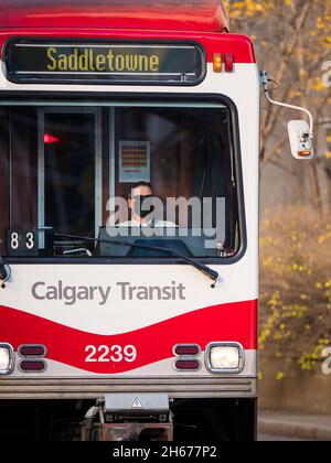 CALGARY, KANADA - 16. Oktober 2021: Ein Light Rail Train (LRT)-Betreiber auf dem Weg nach Saddletowne in Calgary, Albert Stockfoto