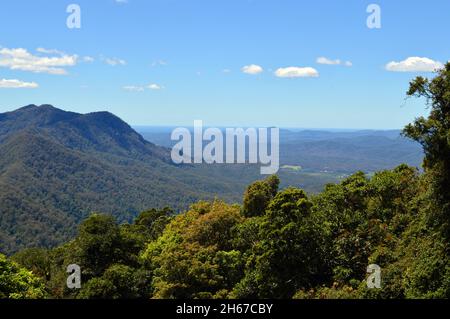 Ein Blick vom Skywalk im Dorrigo Nationalpark Stockfoto