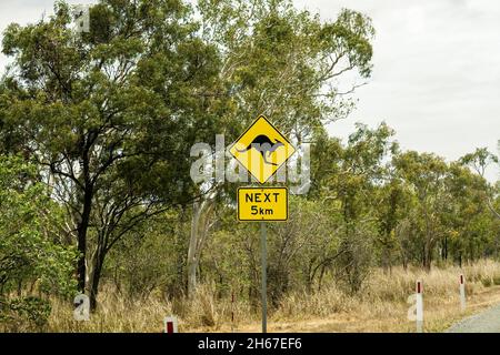 Achten Sie auf Kängurus auf der Straße, und folgen Sie dem Straßenschild für die nächsten 5 Kilometer im australischen Busch Stockfoto