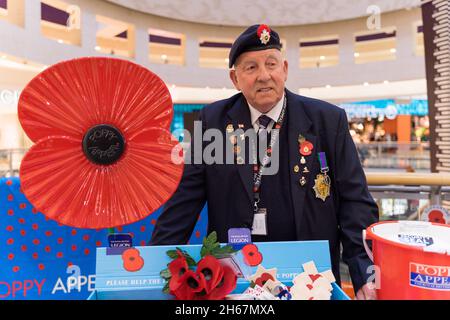 Volunteer von Mohn Appeal die britische Legion verkauft Mohnblumen an Käufer im Einkaufszentrum Kent England Großbritannien Stockfoto