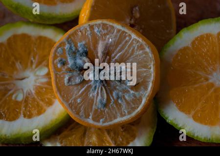 Schimmelige Zitronenscheiben zusammen mit Limette und Orangen auf einem hölzernen Schneidebrett Stockfoto