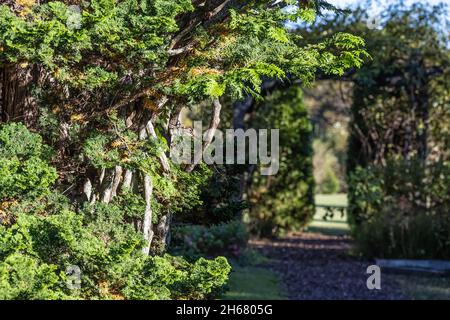 Garten im historischen und malerischen Glen-Ella Springs Inn & Restaurant in Clarkesville, Georgia. (USA) Stockfoto