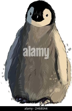 Kaiserpinguin aus bunten Farben. Spritzer Aquarell, farbige Zeichnung, realistisch. Vektordarstellung von Farben Stock Vektor