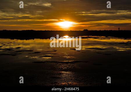 Sonnenuntergang über den Salzwasserteichen in Faro. Algarve, Portugal Stockfoto