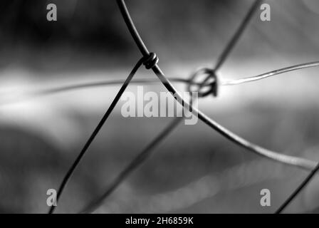 Ein selektiver Graustufenfokus aus Metallzaundraht Stockfoto