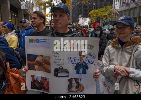 New York, Usa. November 2021. NEW YORK, NY - 13. NOVEMBER: Ein Mann hält ein Schild vor einer städtischen Mitarbeitergruppe, die gegen COVID-19-Impfmandate protestiert, am 13. November 2021 vor dem Pfizer-Hauptquartier in New York City. Ein US-Amtsgericht gewährte einen Notaufenthalt, um die Impfpflicht der Biden-Regierung für Unternehmen mit 100 oder mehr Beschäftigten vorübergehend zu stoppen, da viele der Ansicht sind, dass dies eine rechtswidrige Überreichweite ist. Kredit: Ron Adar/Alamy Live Nachrichten Stockfoto