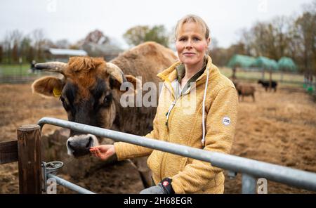 Ebstorf, Deutschland. November 2021. Sabine Bracker steht neben einer Kuh auf dem Gelände des Gnadenhofs. In Ebstorf bei Uelzen gibt es ein Endziel für leidende Tiere. Rinder, Schafe, Hunde und Ziegen sind auf dem Hof in der Lüneburger Heide zu Hause. (To dpa 'Gnadenhof sucht Paten für 16 Ferkel') Quelle: Philipp Schulze/dpa/Alamy Live News Stockfoto