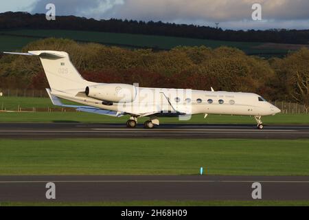 102005, ein Gulfstream Aerospace Tp102D, der von der schwedischen Luftwaffe in einer VIP-Rolle betrieben wird und vom Prestwick International Airport in Ayrshire, Schottland, abfliegt. Das Flugzeug war in Schottland, um schwedische Delegierte zur COP26-Klimakonferenz im nahe gelegenen Glasgow zu bringen. Stockfoto