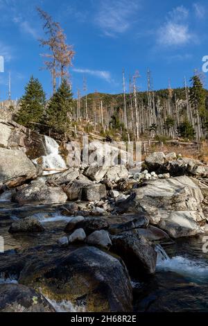 Wasserfall in Tatra, Slowakei - Studenovodsky. Stockfoto